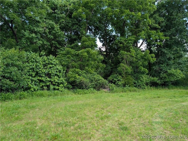 20 Ma Ma Ln Lot 3, Gravois Mills, MO 65037 - photo 6