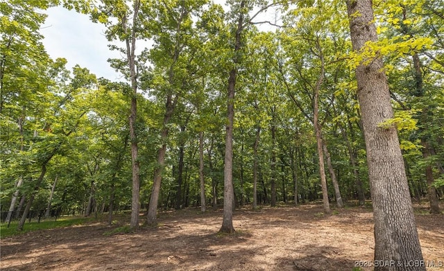 370 Via Appia Dr, Sunrise Beach, MO 65079 - view of tree filled area