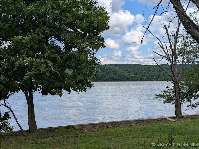TBD Fifties Rd Lot 4, Gravois Mills, MO 65037
