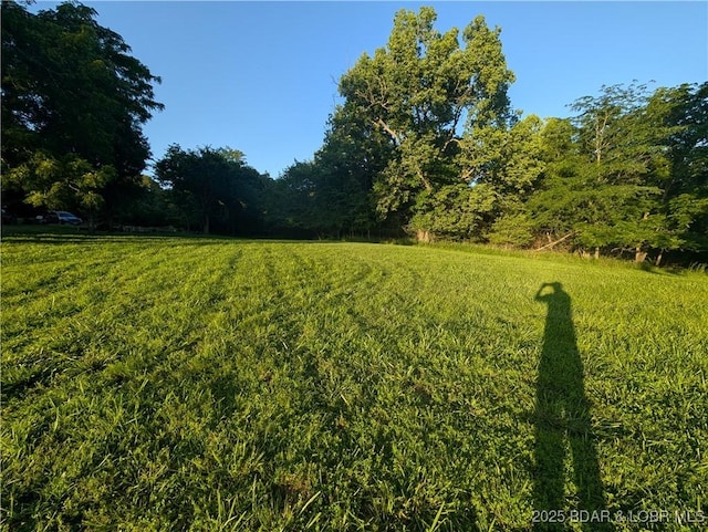 TBD Fifties Rd Lot 4, Gravois Mills, MO 65037