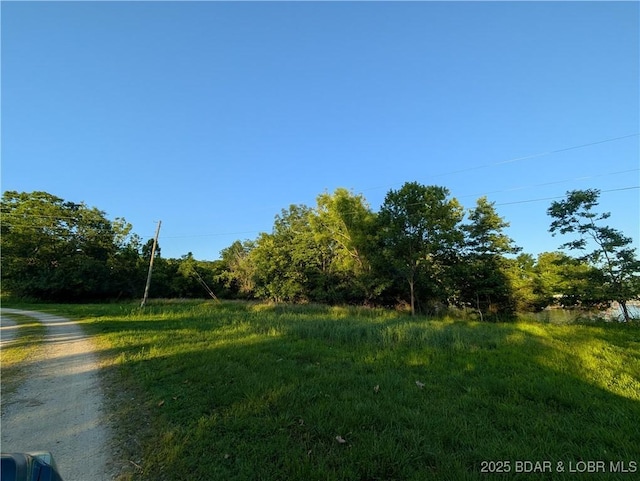 TBD Fifties Rd Lot 4, Gravois Mills, MO 65037