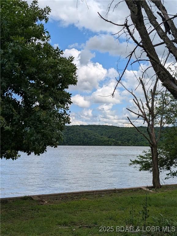 TBD Fifties Rd Lot 4, Gravois Mills, MO 65037