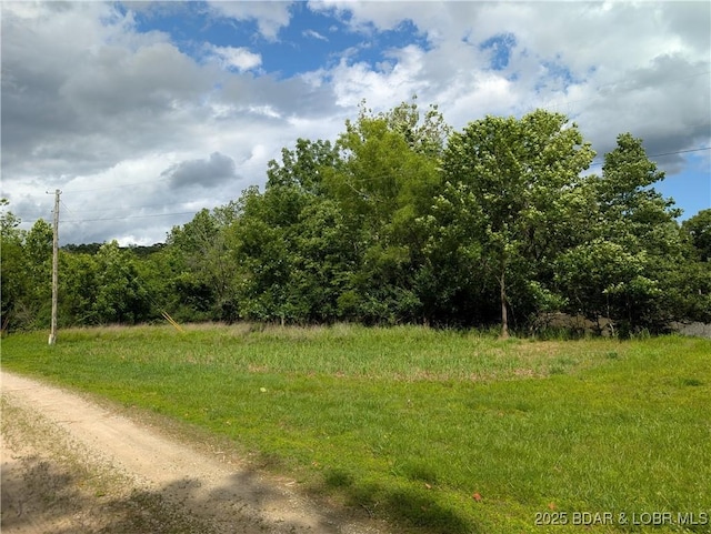TBD Fifties Rd Lot 4, Gravois Mills, MO 65037