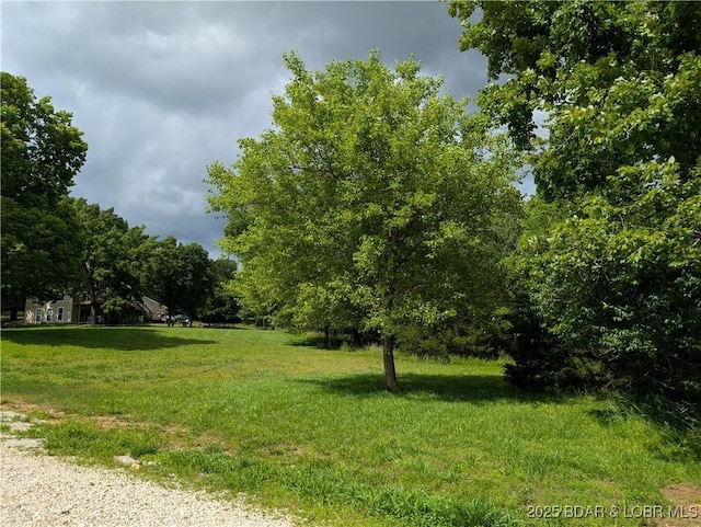 TBD Fifties Rd Lot 4, Gravois Mills, MO 65037