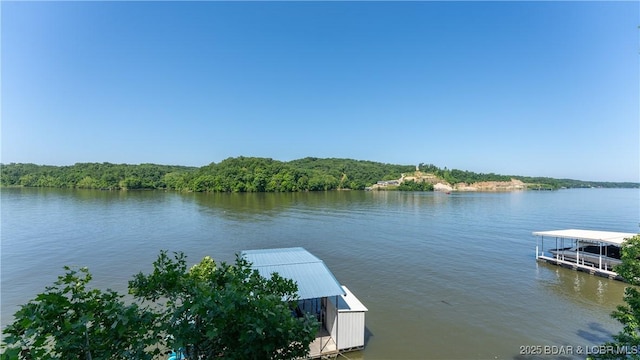 150 Trigger Rd, Linn Creek, MO 65052 - dock area featuring a water view and a view of trees