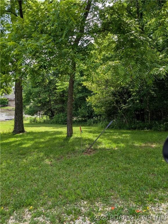 TBD Old Granny Lane Utility Lot 4, Gravois Mills, MO 65037 - photo 2