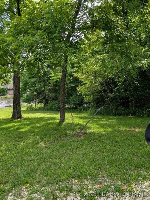 TBD Old Granny Lane Utility Lot 4, Gravois Mills, MO 65037 - photo 2