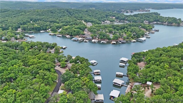 333 Crane Cove Rd, Sunrise Beach, MO 65079 - drone / aerial view of a large body of water and a forest