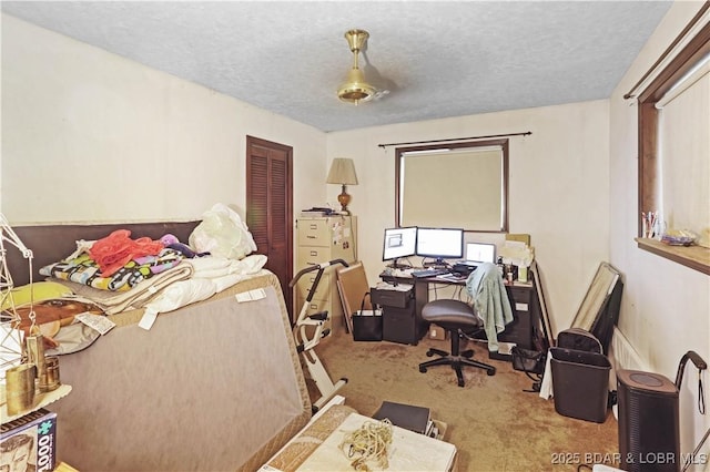 333 Crane Cove Rd, Sunrise Beach, MO 65079 - carpeted bedroom with a textured ceiling, a closet, and an office area
