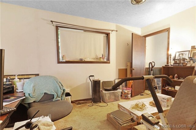 333 Crane Cove Rd, Sunrise Beach, MO 65079 - office with carpet flooring and a textured ceiling