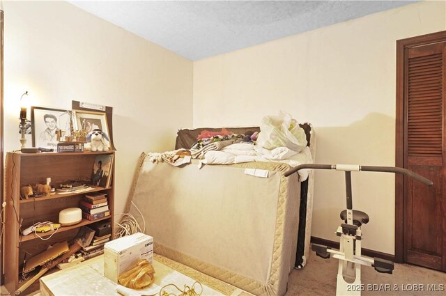 333 Crane Cove Rd, Sunrise Beach, MO 65079 - bedroom featuring carpet and baseboards