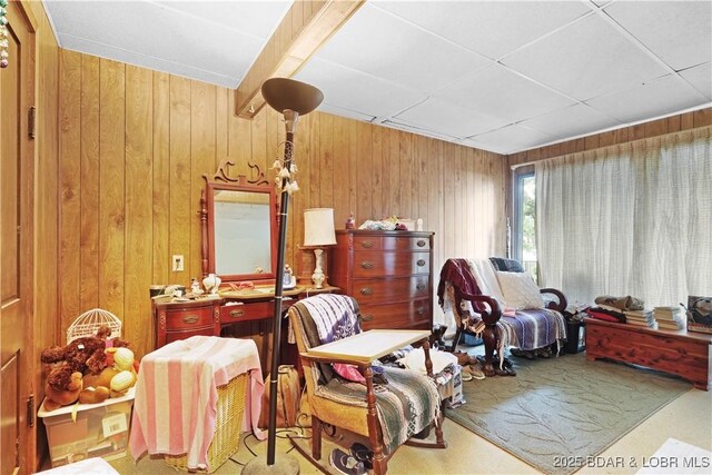 333 Crane Cove Rd, Sunrise Beach, MO 65079 - living area with wooden walls