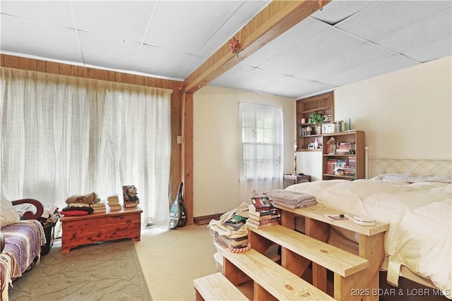 333 Crane Cove Rd, Sunrise Beach, MO 65079 - bedroom featuring a paneled ceiling and carpet