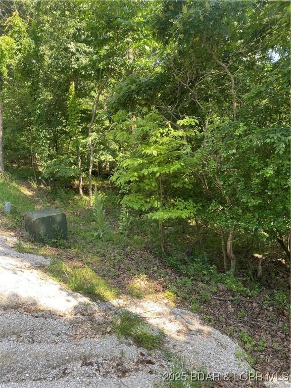 LOT125 Veronica Ln, Lake Ozark, MO 65049 - photo 2