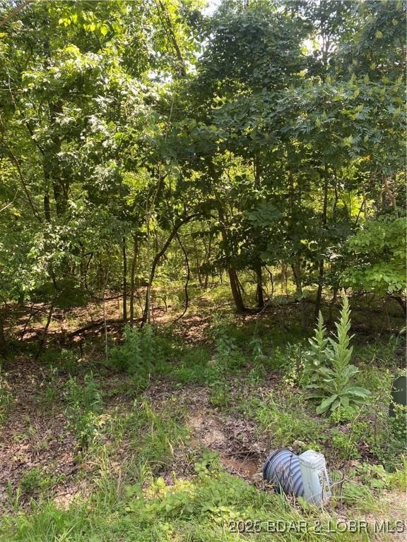 LOT125 Veronica Ln, Lake Ozark, MO 65049 - photo 3