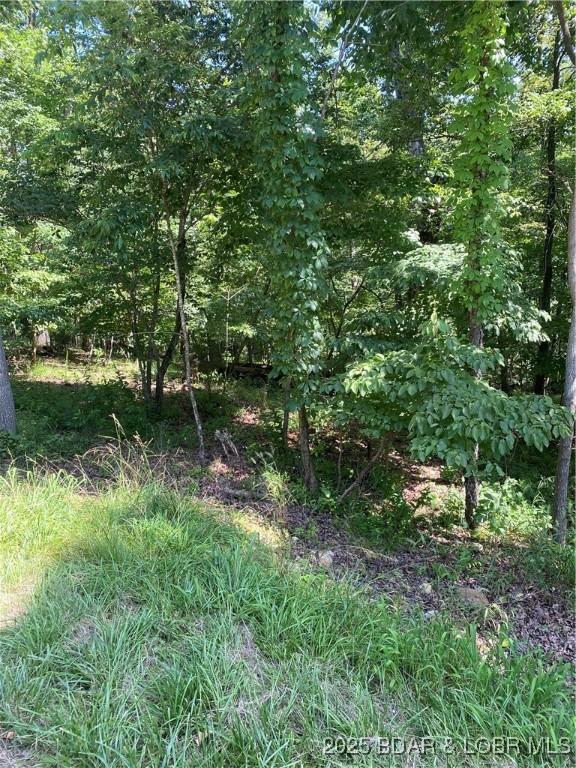 LOT125 Veronica Ln, Lake Ozark, MO 65049 - photo 4