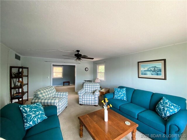 29197 Surf Ave, Lincoln, MO 65338 - photo 7