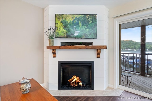686 Clearwater Dr Unit 2C, Camdenton, MO 65020 - detailed view of a fireplace with flush hearth and wood finished floors