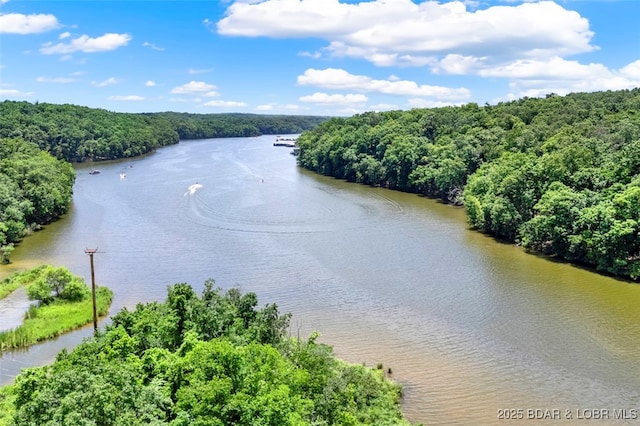 712 Passover Rd, Osage Beach, MO 65065 - water view featuring a forest