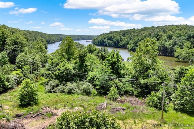 712 Passover Rd, Osage Beach, MO 65065 - water view with a heavily wooded area