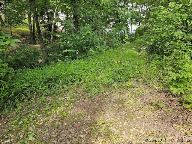 LOT42 Marina Ln, Barnett, MO 65011 - photo 3