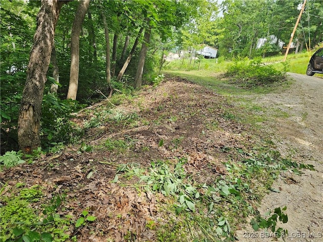 LOT42 Marina Ln, Barnett, MO 65011 - photo 5