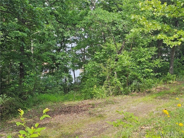 LOT42 Marina Ln, Barnett, MO 65011 - photo 6