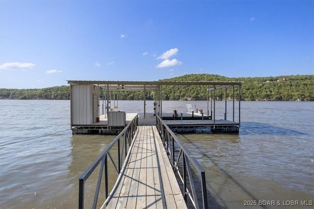 948 Cable Point Dr, Climax Springs, MO 65324 - dock with a water view and a forest view