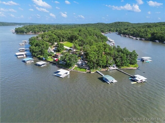 948 Cable Point Dr, Climax Springs, MO 65324 - bird's eye view of a large body of water