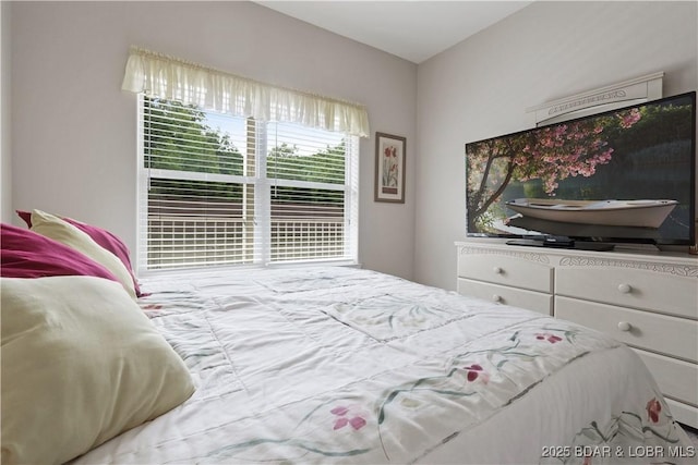 562 Hyd A Way Rd Unit 3F, Camdenton, MO 65020 - view of bedroom