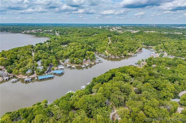 6504 Avalon Park, Osage Beach, MO 65065 - aerial view of a large body of water