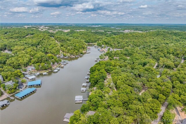 6504 Avalon Park, Osage Beach, MO 65065 - bird's eye view of a large body of water and a forest