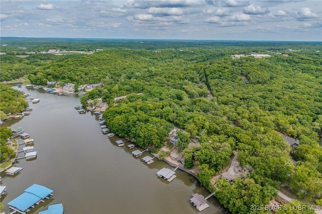 6504 Avalon Park, Osage Beach, MO 65065 - bird's eye view of a heavily wooded area and a large body of water