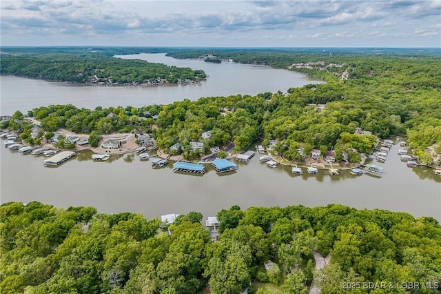 6504 Avalon Park, Osage Beach, MO 65065 - aerial view of a large body of water and a heavily wooded area
