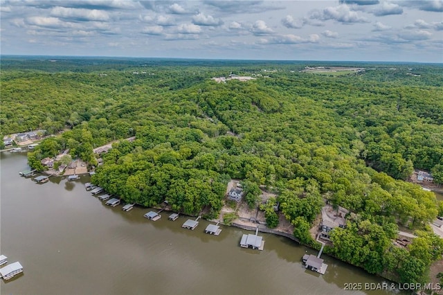 6504 Avalon Park, Osage Beach, MO 65065 - bird's eye view of a heavily wooded area and a nearby body of water