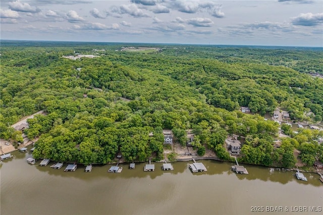 6504 Avalon Park, Osage Beach, MO 65065 - bird's eye view of a forest and a nearby body of water