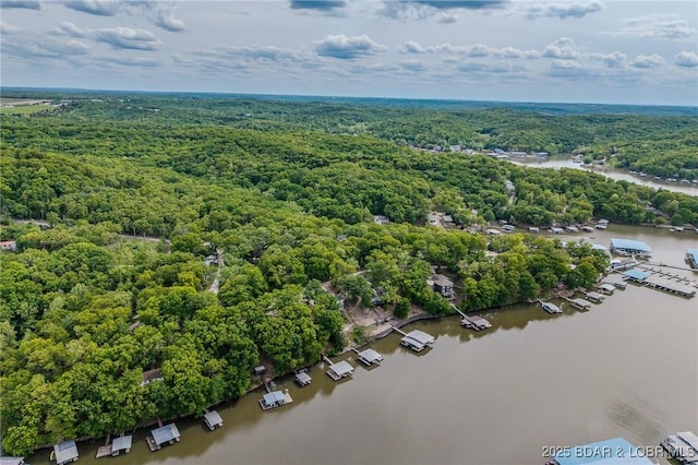 6504 Avalon Park, Osage Beach, MO 65065 - drone / aerial view of a forest and a large body of water