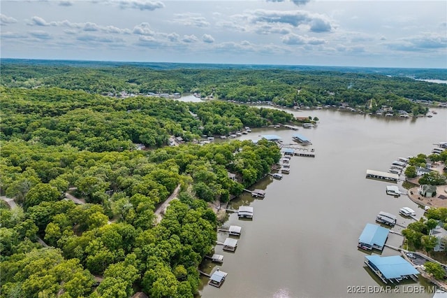 6504 Avalon Park, Osage Beach, MO 65065 - aerial view of a heavily wooded area and a nearby body of water