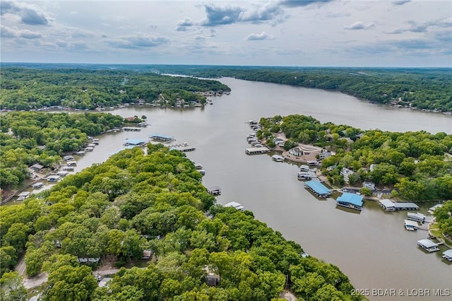 6504 Avalon Park, Osage Beach, MO 65065 - bird's eye view of a nearby body of water and a heavily wooded area