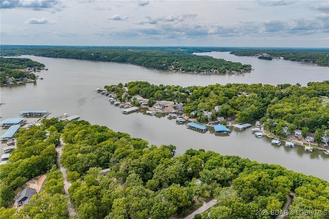 6504 Avalon Park, Osage Beach, MO 65065 - aerial view of a nearby body of water and a forest