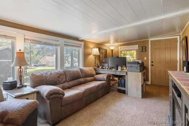 209 Greenbay Ter, Sunrise Beach, MO 65079 - photo 7