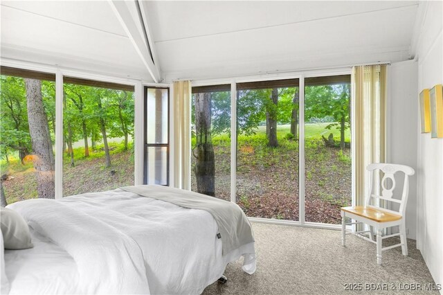 130 Tree Top Dr Unit 6, Four Seasons, MO 65049 - photo 5