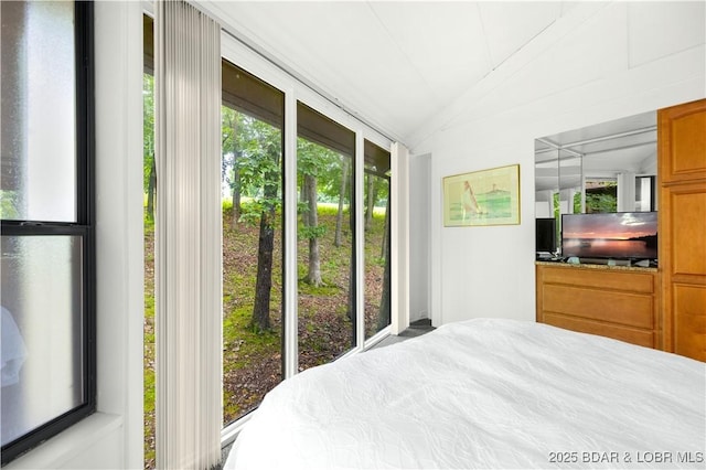 146 Tree Top Dr Unit 8, Four Seasons, MO 65049 - bedroom featuring vaulted ceiling