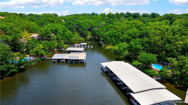 146 Tree Top Dr Unit 8, Four Seasons, MO 65049 - dock area featuring a water view