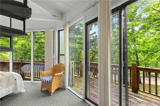 146 Tree Top Dr Unit 8, Four Seasons, MO 65049 - sunroom / solarium featuring vaulted ceiling, a water view, and carpet