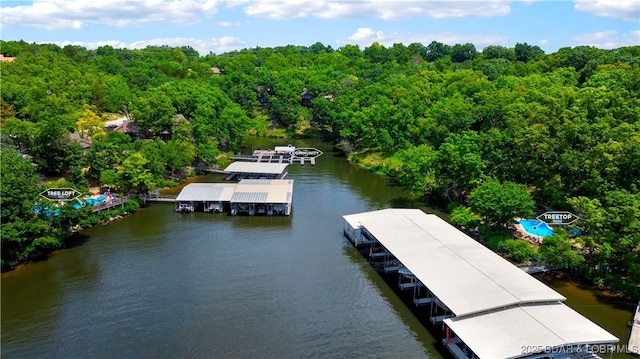 146 Tree Top Dr Unit 8, Four Seasons, MO 65049 - dock with a water view