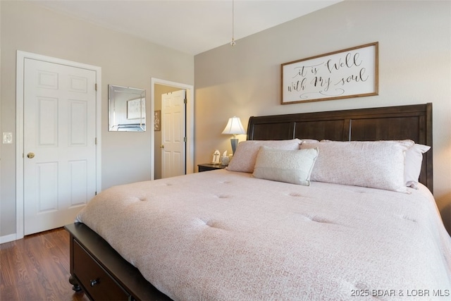 464 Cedar Heights Dr Unit 3G, Camdenton, MO 65020 - bedroom with dark wood-style floors