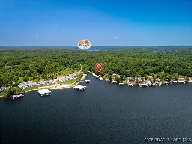 29684 Clark Rd, Gravois Mills, MO 65037 - photo 33