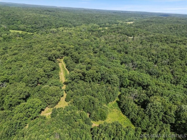 2951 State Road Z, Climax Springs, MO 65324 - photo 47