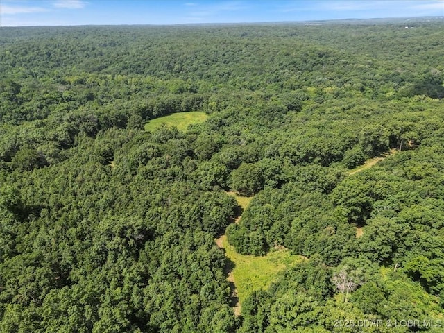 2951 State Road Z, Climax Springs, MO 65324 - photo 45